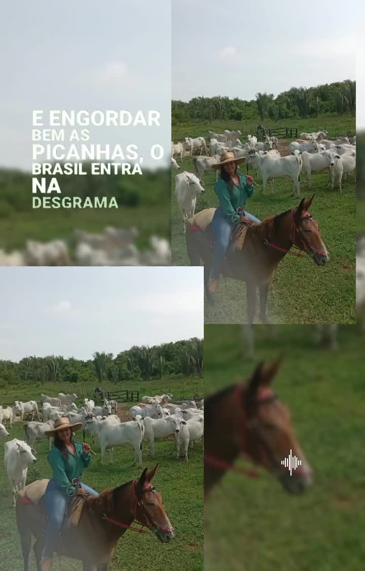 @andressapereira25453