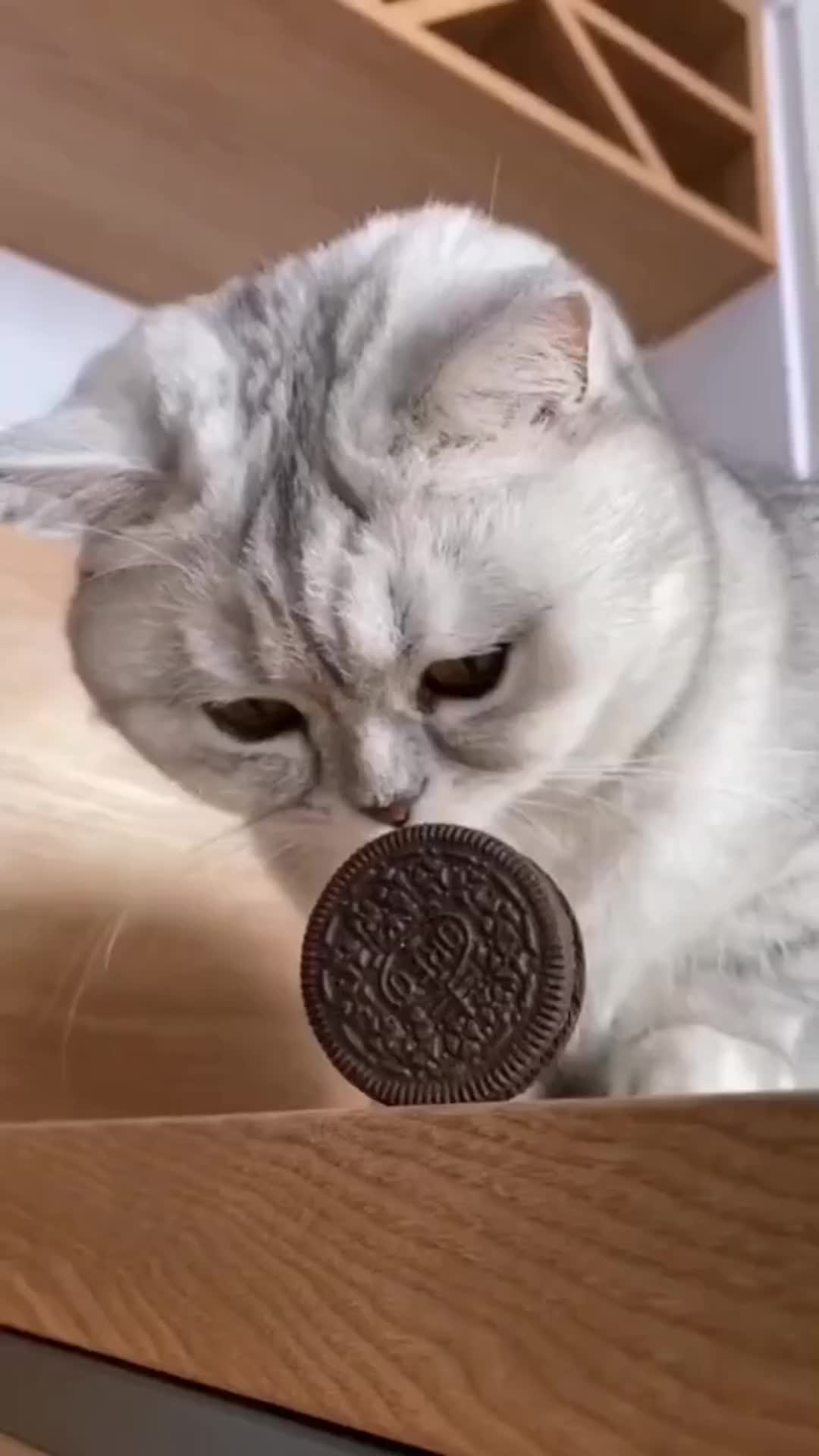 @никто