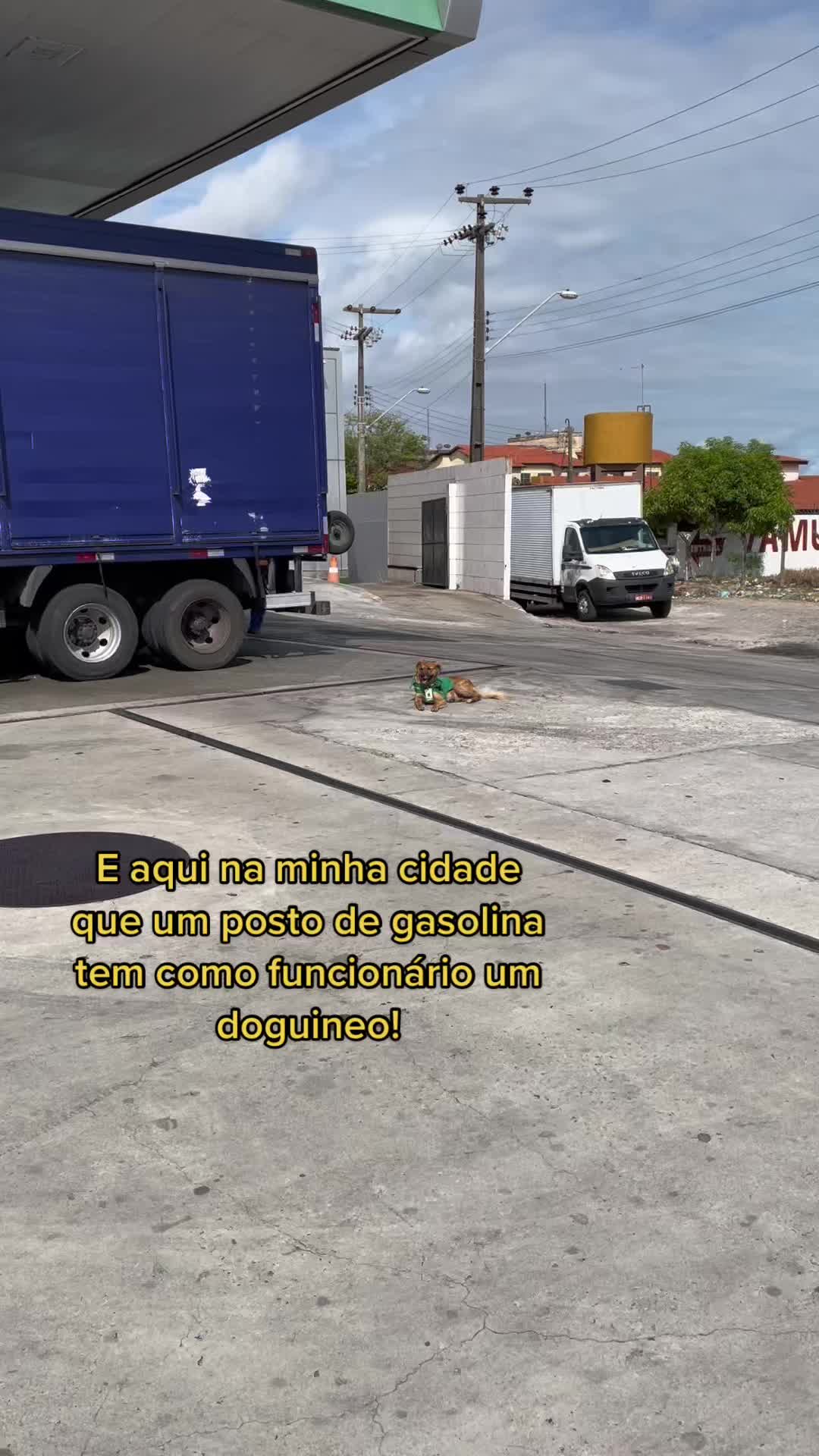 @Clara🤎✨
