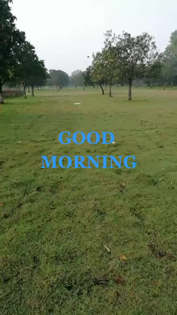 @Manoj Mandal