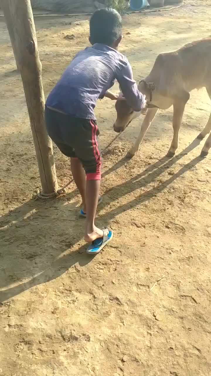 @user7147412694787