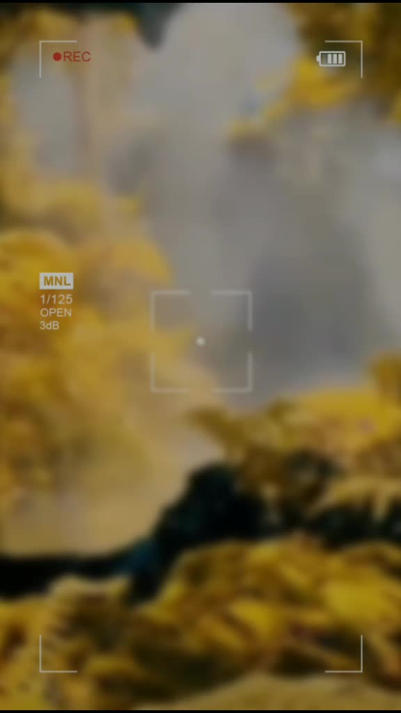 @❡☋☈☋ⓢϰ♔☋ⓢ♗☾