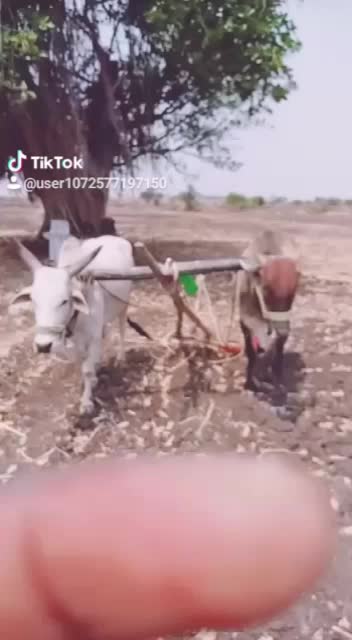 @Venkatppa Kakalwar