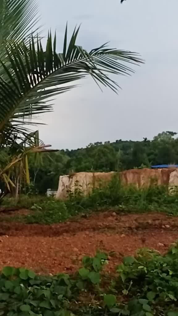 @Sumesh Ambanattu
