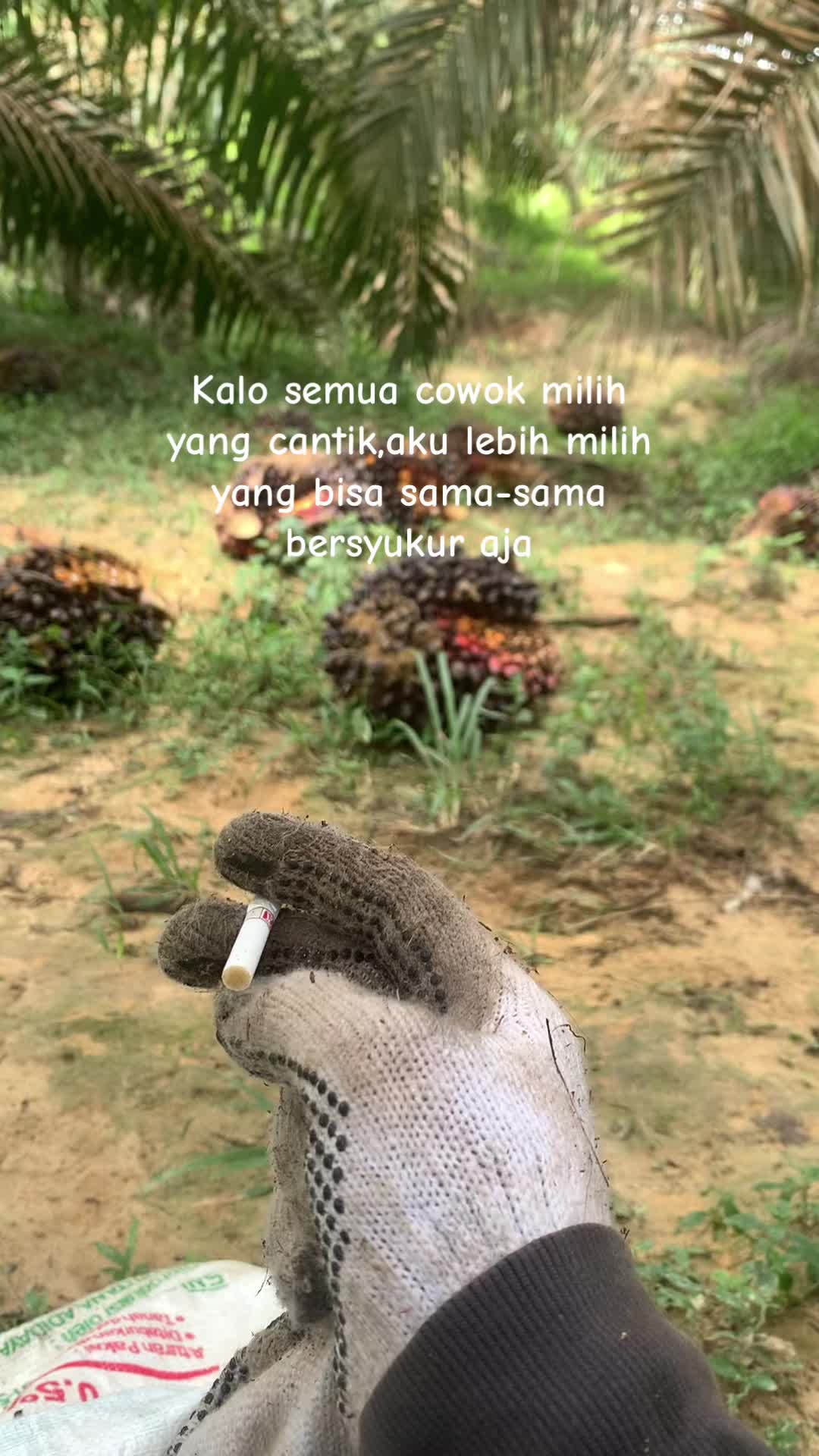 @Andre Pramudia