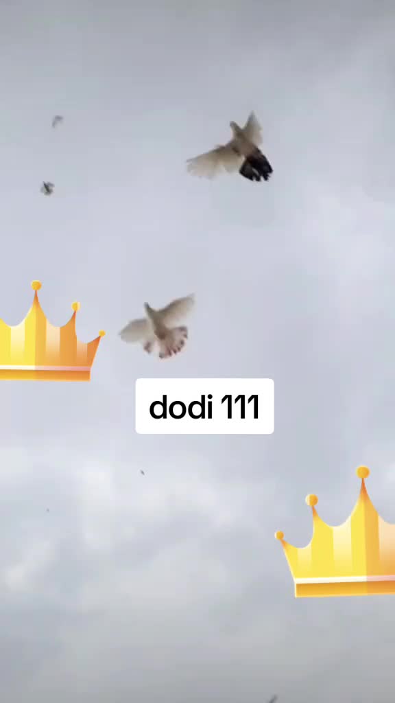 @Əhədov.111