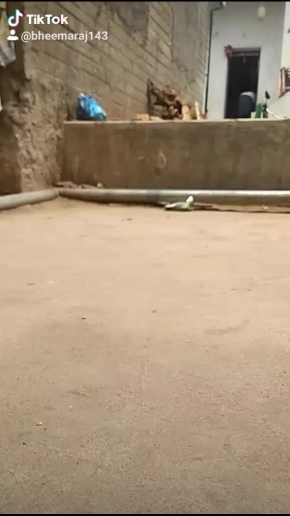 @bheemaraj143