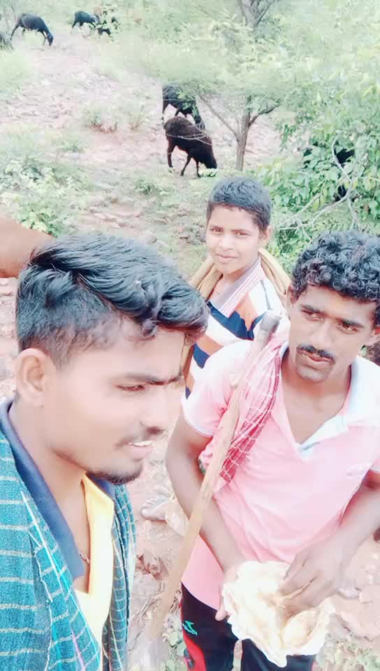 @ಕುರುಬರ ಹುಡುಗ, 🐏🐏💓