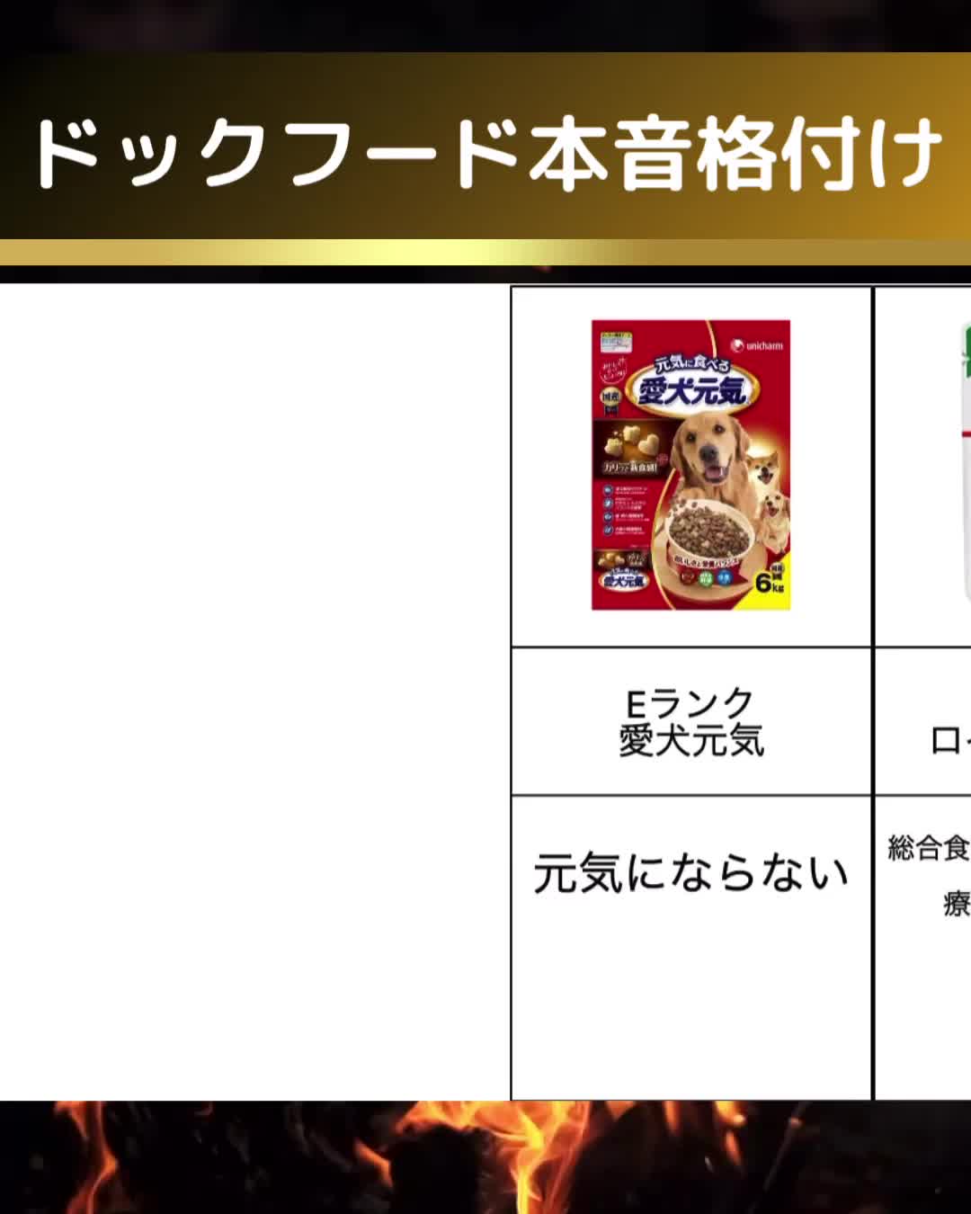 @都内のチワワ