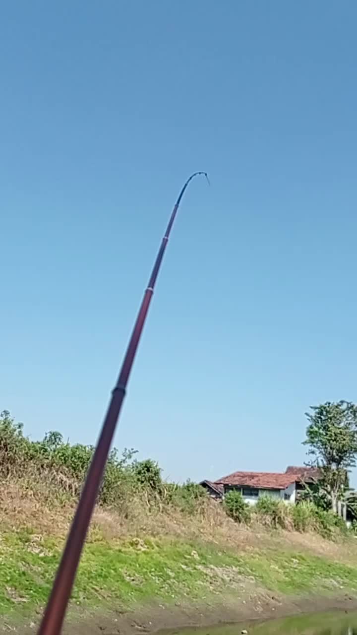 @CustomtegekPati🎣🎣