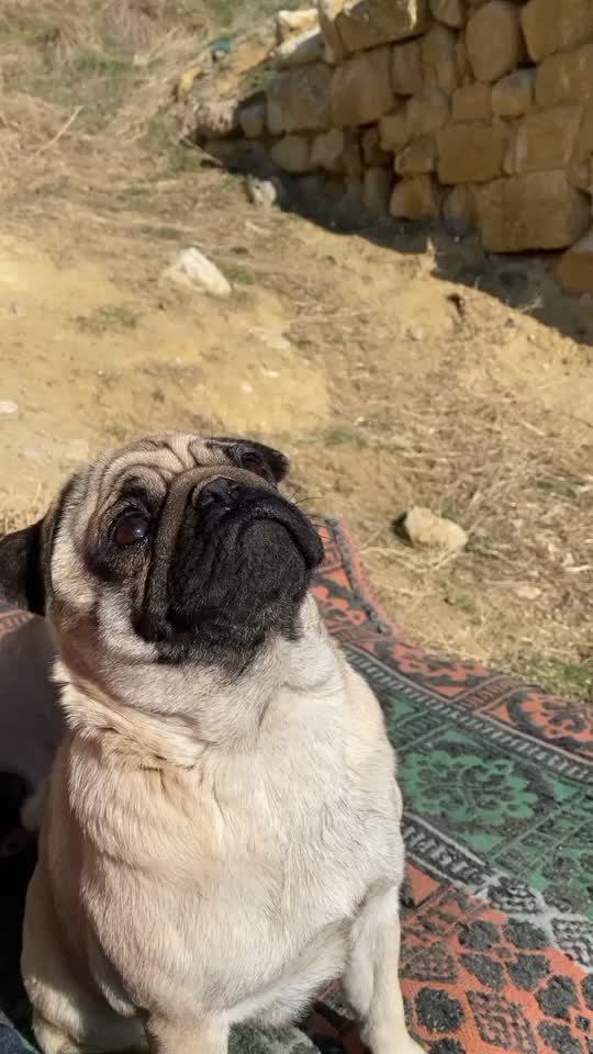@İsmail Türk
