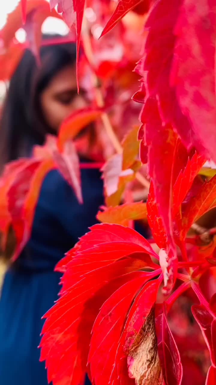 @harini.tarun98