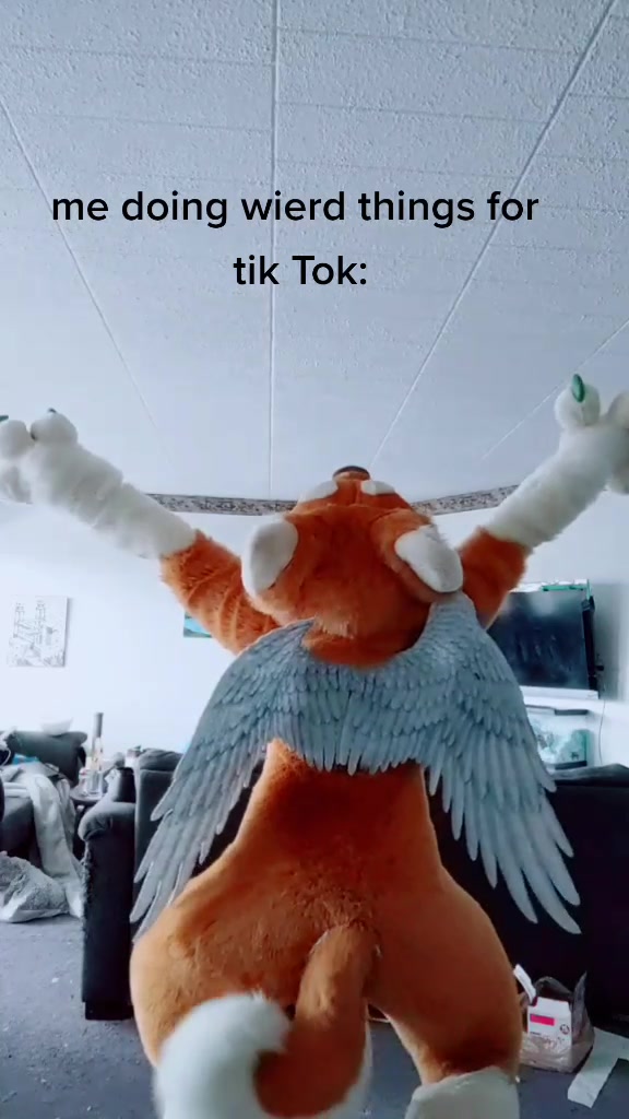 @CookieShiba