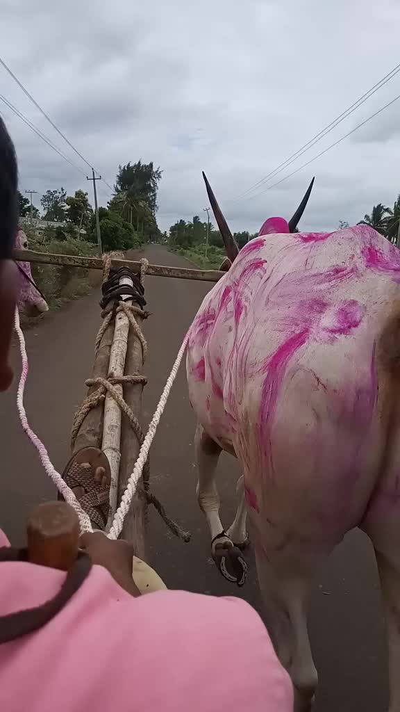@user2385964923175