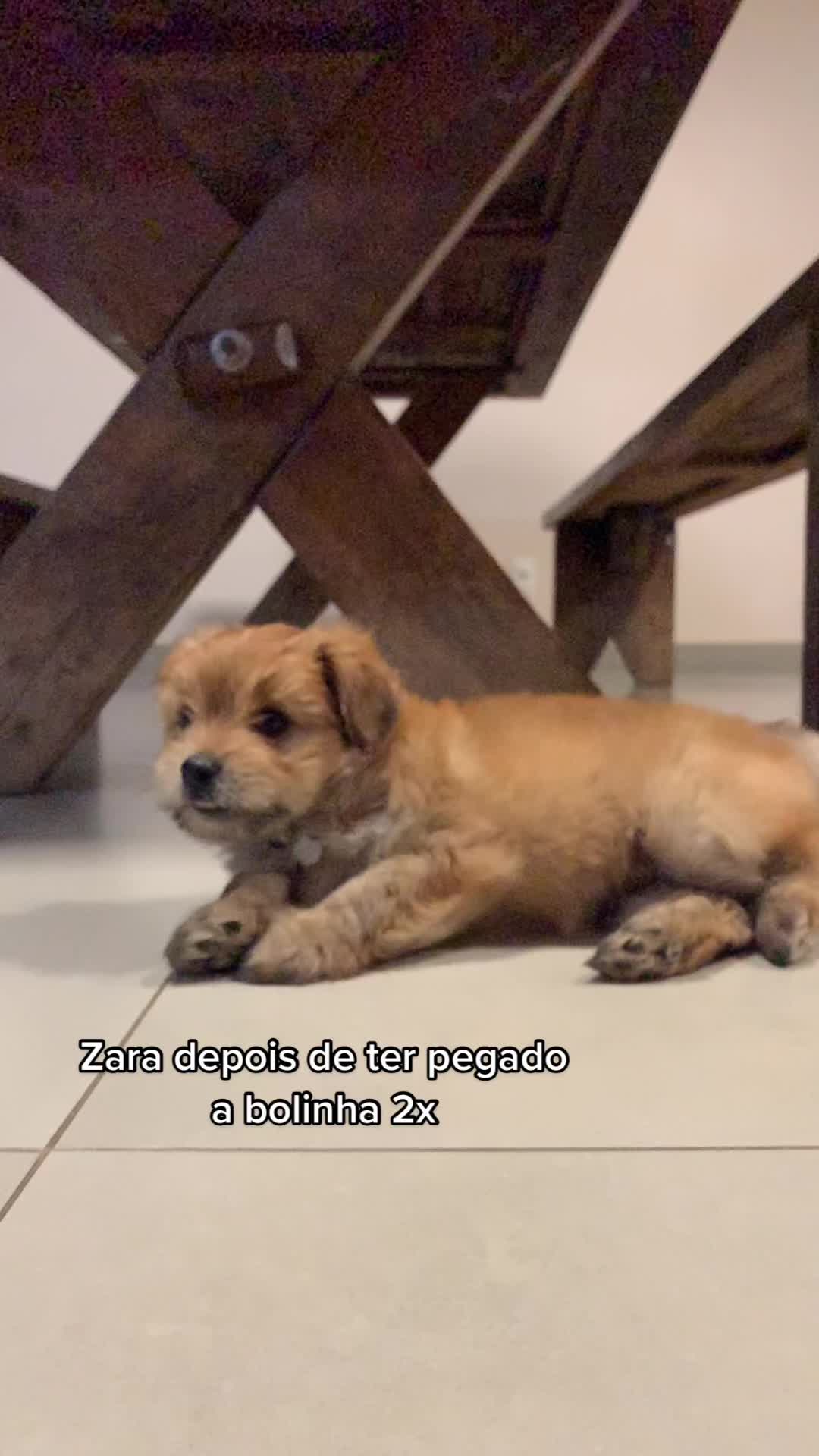 @Zara