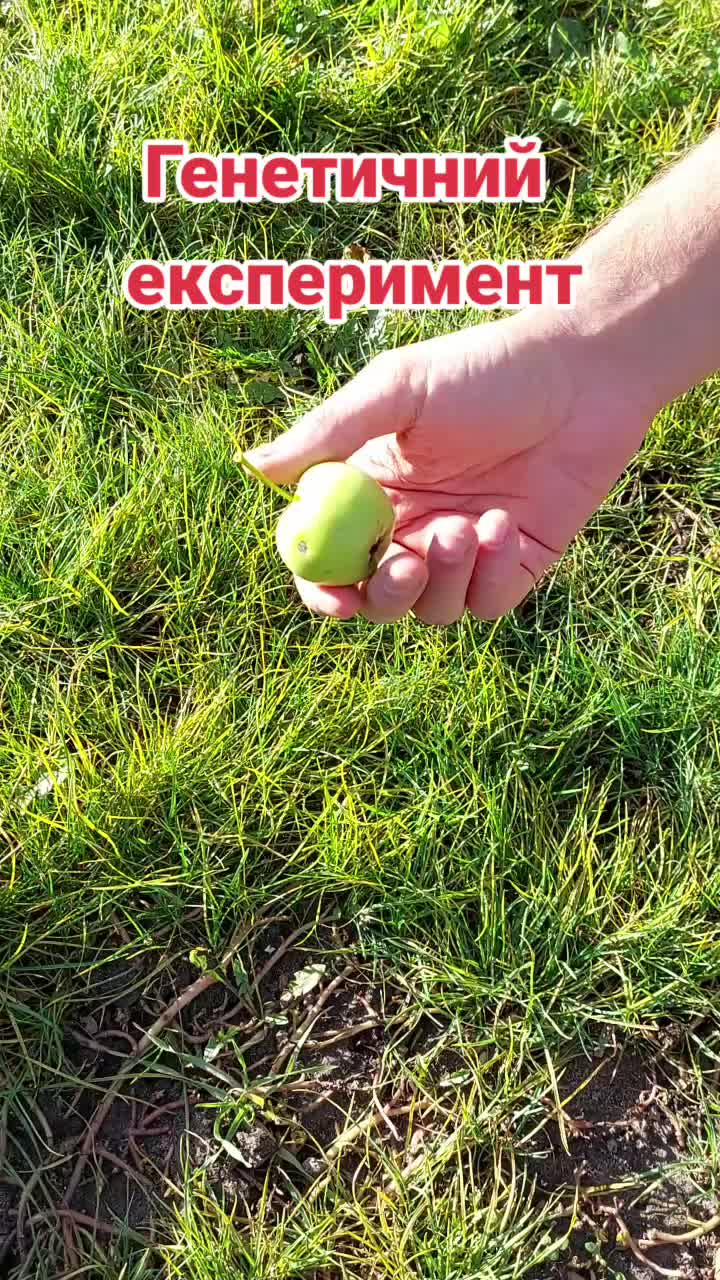 @BaraholkaUKRAINE