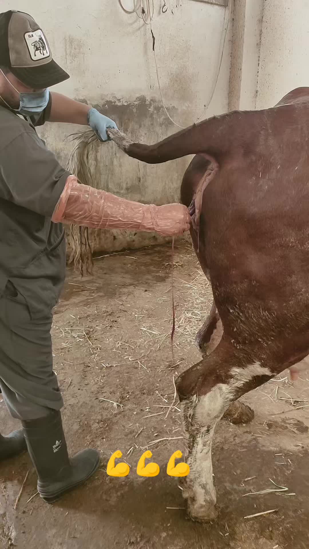 @طبيب بيطري و أفتخر