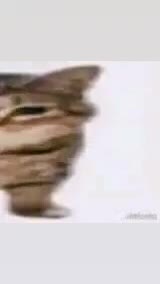 @HusSxain