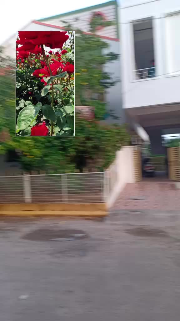 @Sai Sreeja