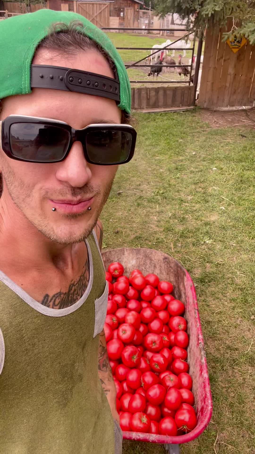 @RyleeRanch