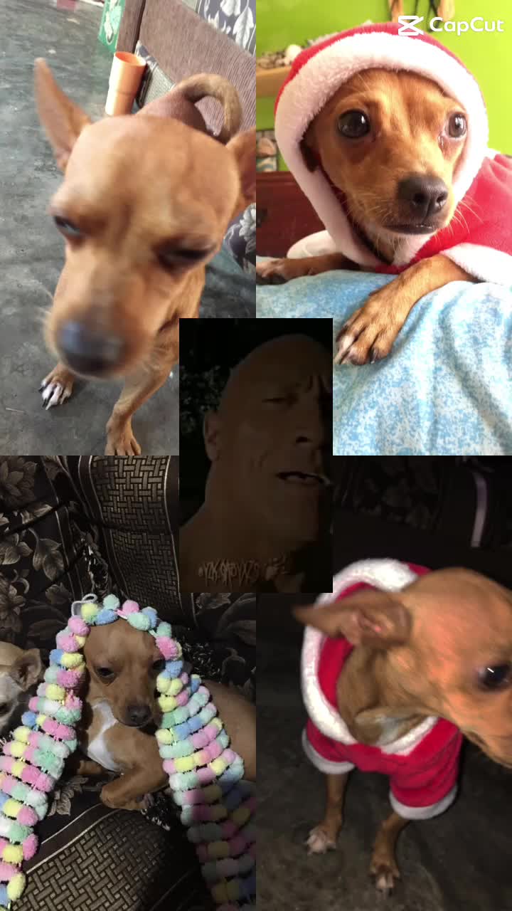 @𝐤𝐞𝐧𝐝𝐫𝐚 ✿