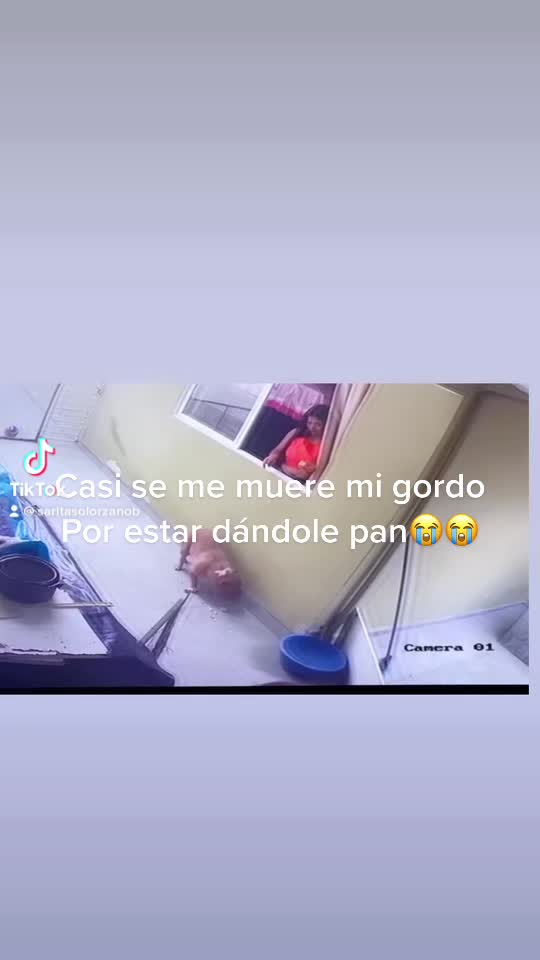 @Sarita Solorzano