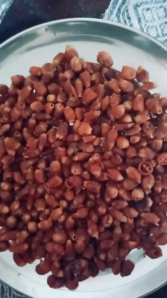 @Rohit1234