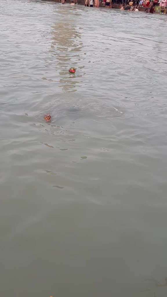 @gautishukla