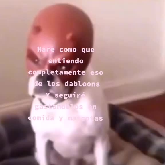 @Esperando a Hu tao bella