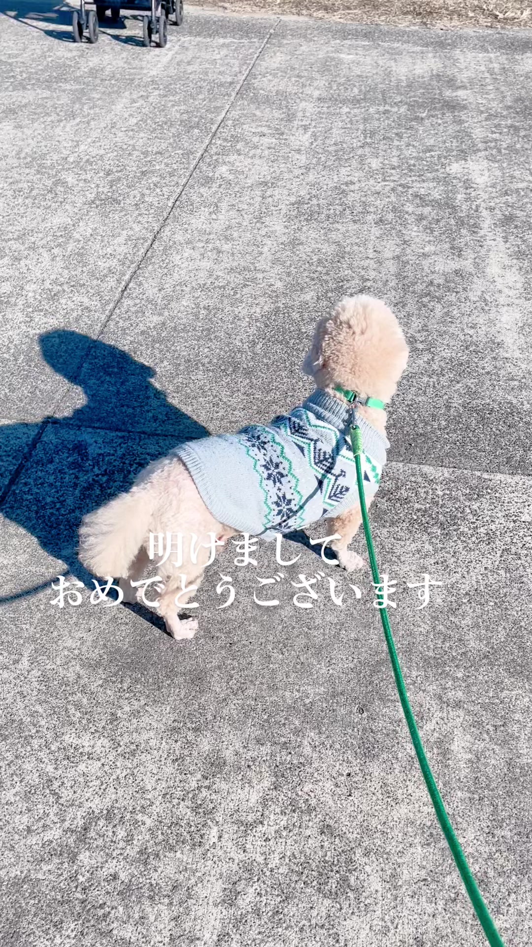 @きなこ