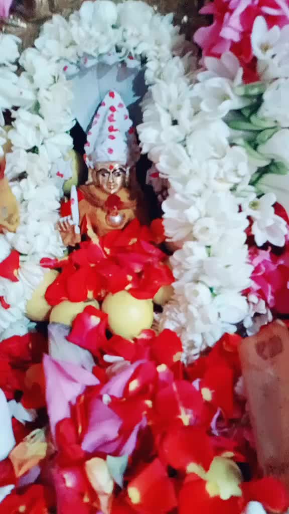 @tirupur Jeni