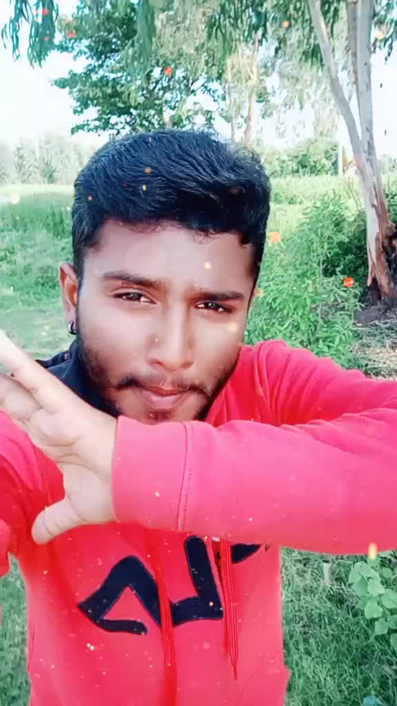 @kingstar vijay