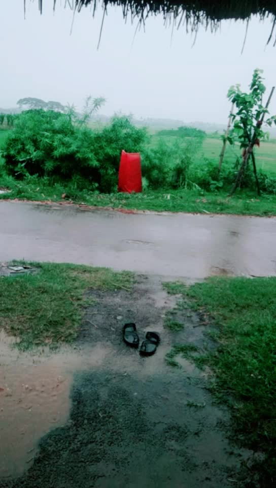 @Mohanty Trupti