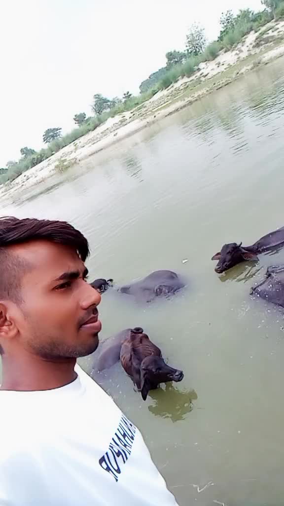 @Virender kashyap