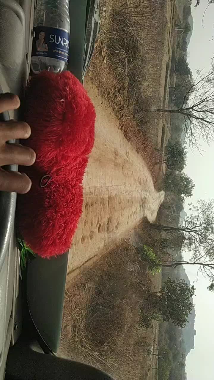 @user8441784839281