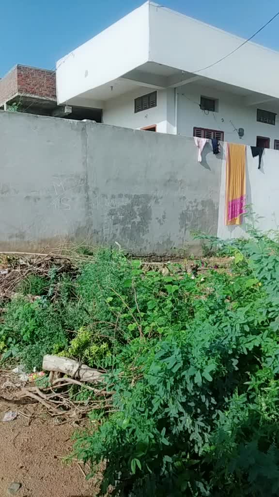 @varaprasad varma