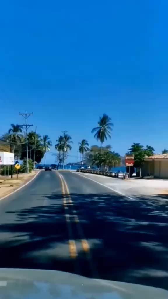 @𝐕𝐢𝐫𝐠𝐨'𝟖𝟒