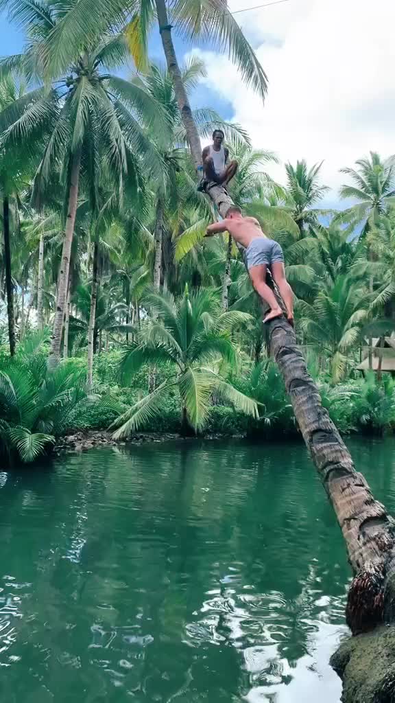 @travel video’s 🤍