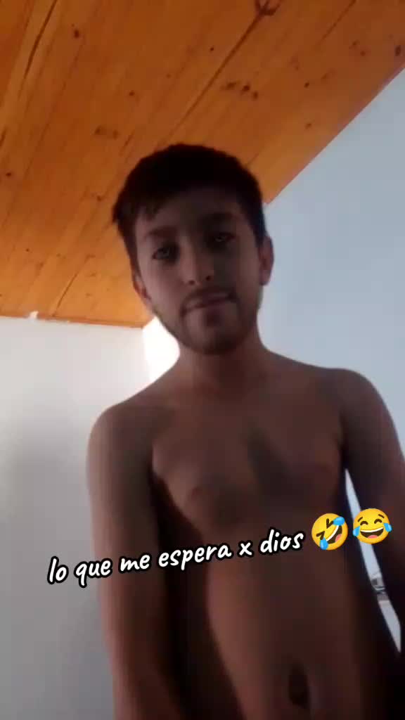 @tamy