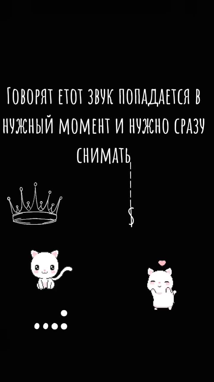 @[💙]Голубика🫐