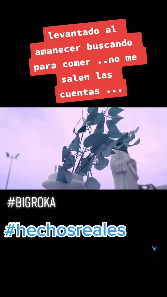 @bigrokaprs