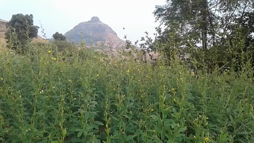 @mauli1991