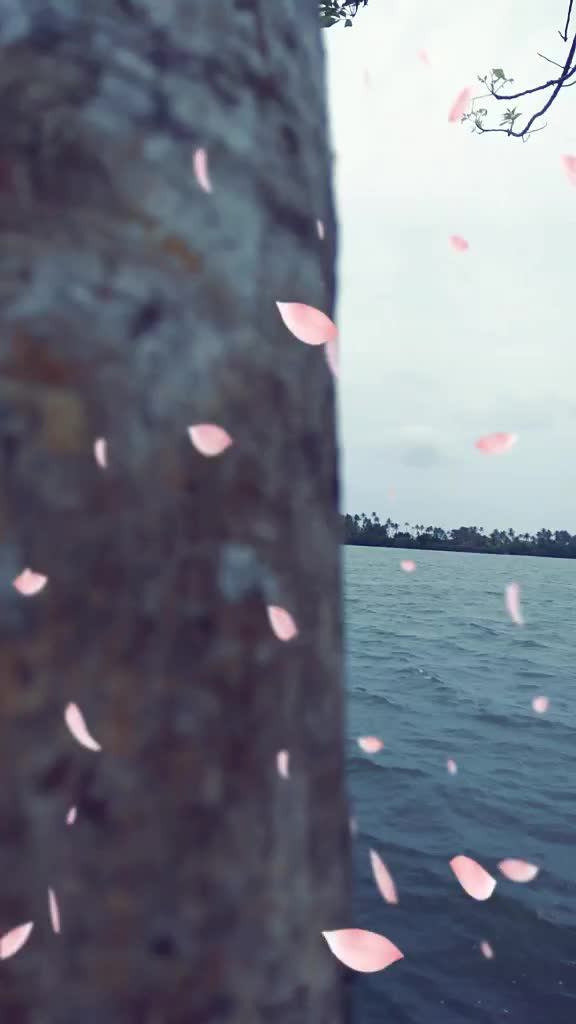 @Nisanth K S