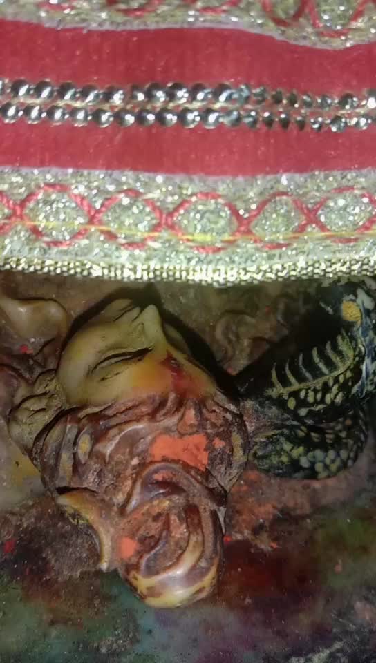 @Aniket Karihar
