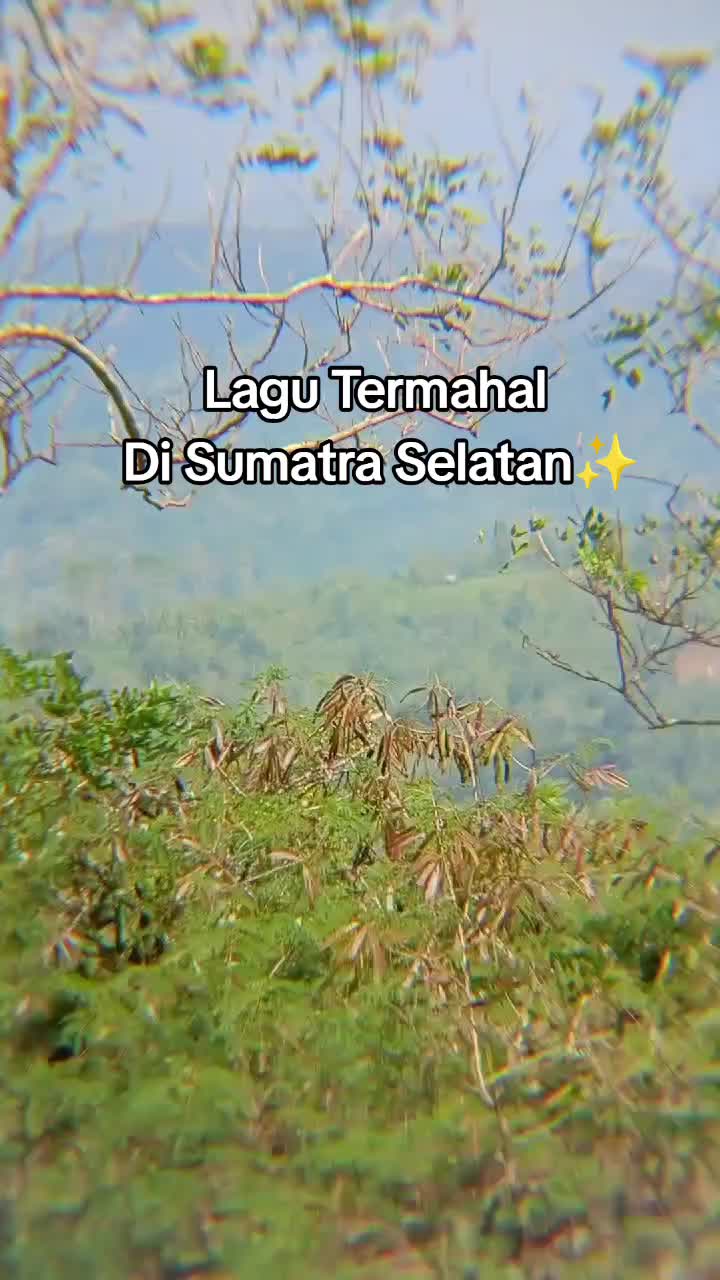 @ayii
