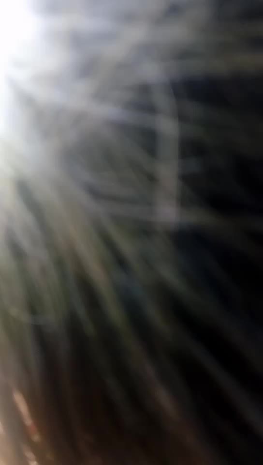 @Aromal_Das