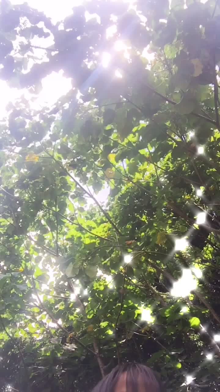 @kb