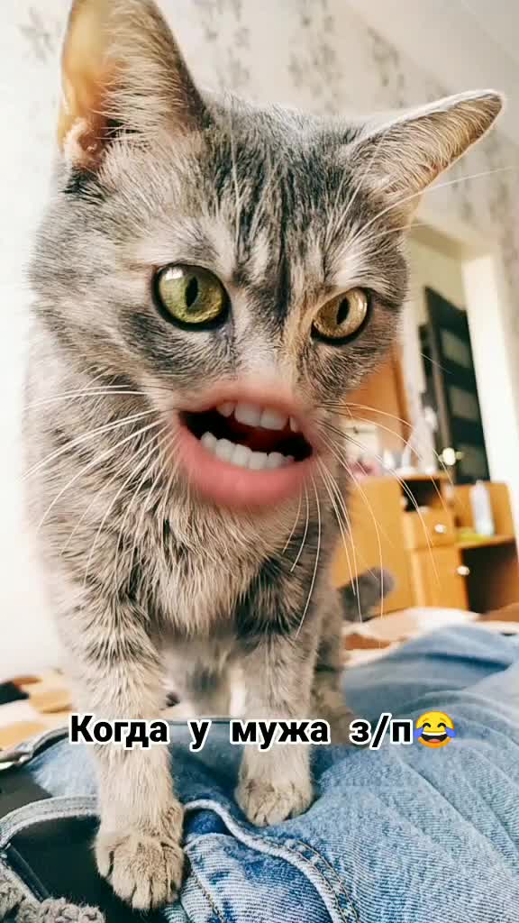 @Натали Котикова