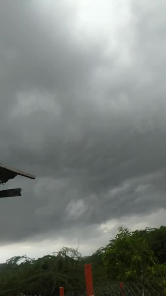 @ગાય નું ગોવાડ