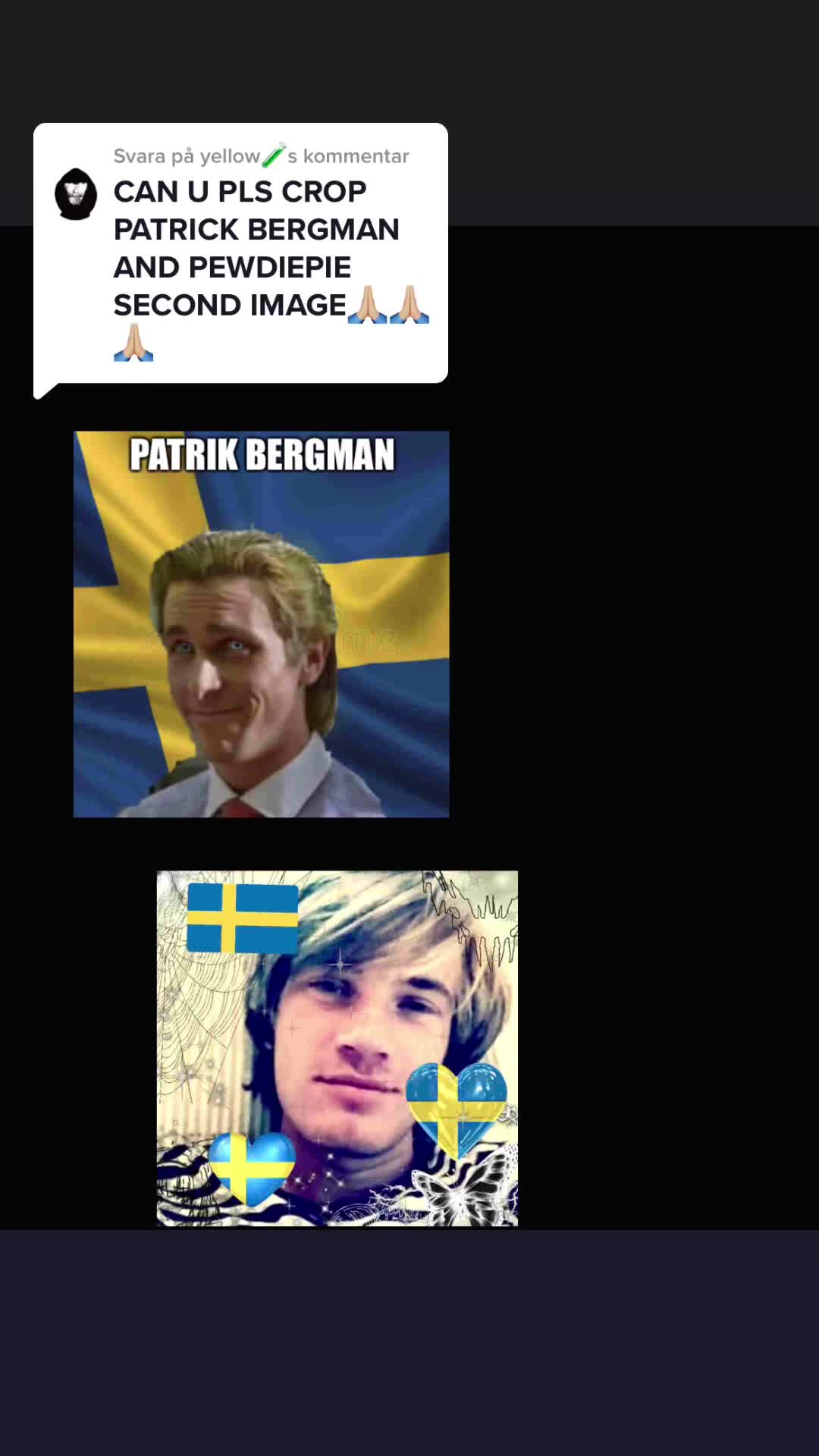 @basshunter enjoyer